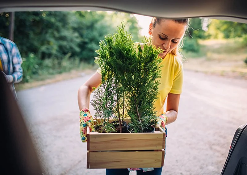 how to pack plants for moving